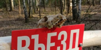 Рязанцам до конца августа ограничили въезд в леса - ИА МедиаРязань