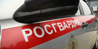 Росгвардия проверяет школы Волгоградской области перед началом учебного года - Волга-Медиа