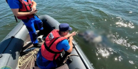 На озере под Челябинском утонул сапбордист - Pchela.News