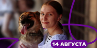 Акция «О пушистых с любовью» пройдет в Самаре ко Всемирному дню бездомных животных - Администрация городского округа Самара