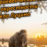 Краеведческий поход в окрестности села Луцино пройдёт в Одинцовском округе 16 августа - Городской округ Одинцово