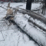 Фото: https://penza.sledcom.ru - Penza-Post.Ru