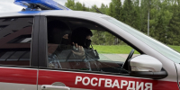 В одном из баров Коми буйная посетительница запустила бутылку в сотрудника заведения - Pg11.Ru