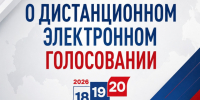 Дистанционное электронное голосование: твой голос — сила России!. - Город Новодвинск