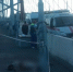 Мужчина погиб после падения с Бугринского моста в Новосибирске - Gorsite.Ru