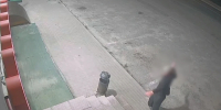 Во Владимире 16-летнего парня задержали за серию краж из магазинов - Комсомольская правда