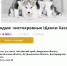 Пёс-призрак: омичка отдала 66 000 рублей за несуществующего хаски - ГТРК Иртыш