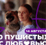 14 августа Самарский дом молодежи (пр. Ленина, 3) приглашает всех желающих на акцию «О пушистых с любовью». - НИА Самара