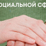 Промежуточные итоги реализации федерального проекта «Производительность труда» в социальной сфере Республики Марий Эл - Минэкономразвития Республики Марий Эл