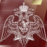 Генерал-полковник Юрий Яшин принял участие в заседании НАК России - Росгвардия