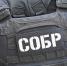 В Москве при содействии сотрудников СОБР «Столица» Росгвардии задержан подозреваемый в разбое и незаконном хранении оружия и боеприпасов - Росгвардия