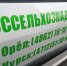 Россельхознадзор выявил 87 тысяч нарушений с помощью ИИ в Курской и Орловской областях - Курские Известия