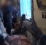 background - Вологда-поиск