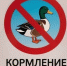 Администрация города призывает жителей и гостей Ессентуков соблюдать правила в парке «Городское озеро». - Администрация г. Ессентуки