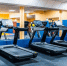 DDX Fitness начала проверку после сообщений об утечке данных клиентов - M24.Ru