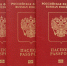 Выдача загранпаспортов в Ялте временно приостановлена - Комсомольская правда