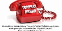 Горячая линия 01.09.2026 - Управление ветеринарии