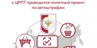 С 1 сентября за нарушения в «Честном знаке» начнут штрафовать автоматически - Администрация г. Геленджика