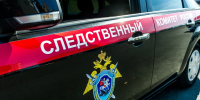 В Воронеже девочка лишилась пальца в результате падения деревянной фигуры во дворе - Комсомольская Правда
