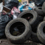 В Разметелево после проверки Эконадзора убрали стихийную свалку - Spbdnevnik.ru