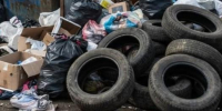 В Разметелево после проверки Эконадзора убрали стихийную свалку - Spbdnevnik.ru