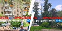 Участника СВО насмерть придавило деревом | Источник: Жесть Ярославль / Max.ru - 76.Ru