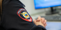 В Барнауле в парке «Изумрудный» вандалы сломали более 50 деревьев - КП-Новосибирск