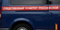 В Воронеже 7‑летняя девочка лишилась части пальца из‑за падения деревянной фигуры на детской площадке - РИА Воронеж