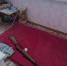Подарок с сюрпризом: 71-летний туляк получил год ограничения свободы за подаренную ему двустволку - ИА Тульская пресса.Ru