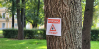 Фото: ПАИ - InformPskov.Ru