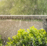 Фото: Ugis Riba/Shutterstock/Fotodom - Ямал-Медиа