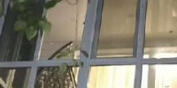 Новокузнечанин не выполнил требование управляющей компании расстеклить лоджию, и его настигла злая карма - ИА Город Новостей