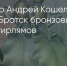 Поделитья во ВКонтакте - Братская Студия Телевидения