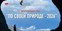 По своей природе 2026 ИА MagadanMedia - MagadanMedia.Ru