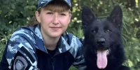 Служебная овчарка Индра помогла раскрыть кражу из дома в Бурятии - Infpol.Ru