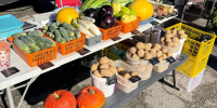 Ярмарка выходного дня в Хабаровске предложит свежие продукты по честным ценам - ИА Хабаровский край сегодня