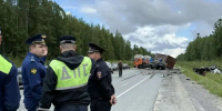photo - ОМЕДИА!