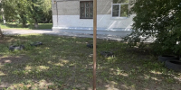 В Октябрьском районе продолжается работа по ликвидации несанкционированных свалок шин - Администрация г. Барнаул