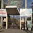 На озере в омском парке поведут химобработку на фоне смертности животных - СуперОмск
