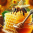 🍯 Медовый Спас: сладкий повод для радости! 💛. - Любинский район