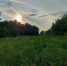 20250726_191810 - Сетевое издание Арбуз