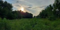 20250726_191810 - Сетевое издание Арбуз