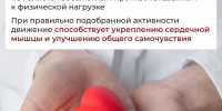 Физкультура при заболеваниях сердца и сосудов: как тренироваться безопасно - Городская поликлиника №3