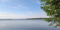 В Шершневское водохранилище выпустили более 11,5 тысячи мальков сазана - Южноуральская панорама