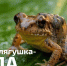 А какой папа - ты? - УФССП
