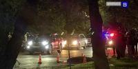 Два человека погибли в ДТП в Приамурье за минувшие сутки - gtrkamur.ru - ГТРК Амур