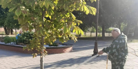 В Балакове продолжаются плановые работы по благоустройству - Балаковские вести