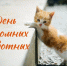 49275 - Детская библиотека