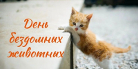 49275 - Детская библиотека