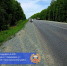 ДТП унесло жизнь водителя в Комсомольском районе - Gubernia.Com